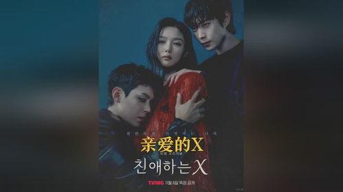 亲爱的X,一段深情厚谊的温暖回忆